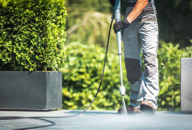 Best Rust Removal  in Huntgburg, IN