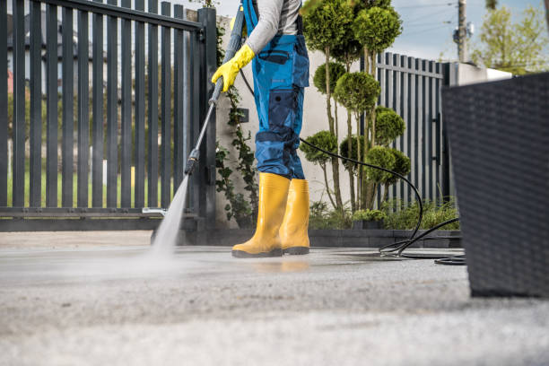 Best Solar Panel Cleaning  in Huntgburg, IN